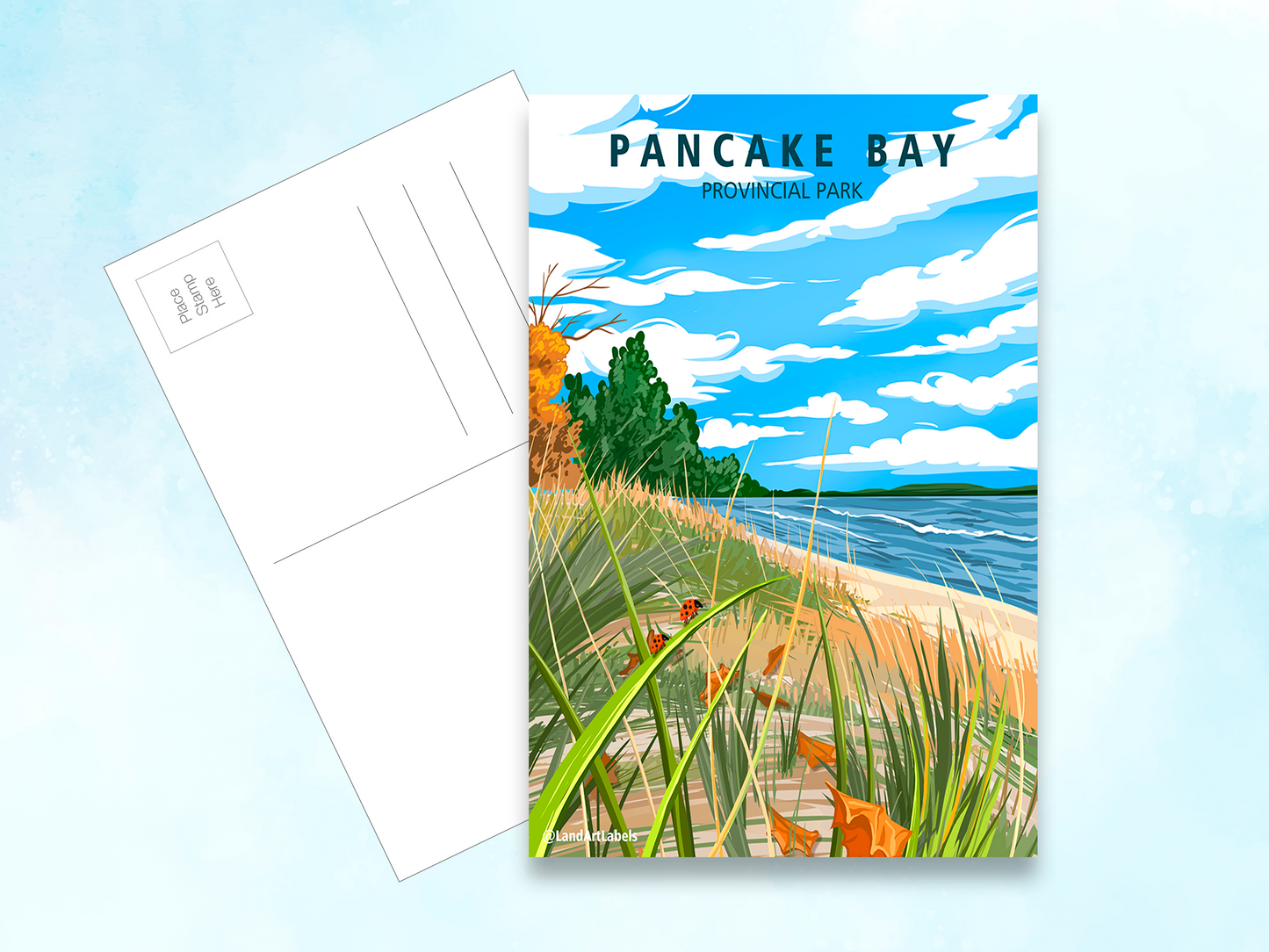 Pancake Bay Provincial Park, Marram Grass - Postcard