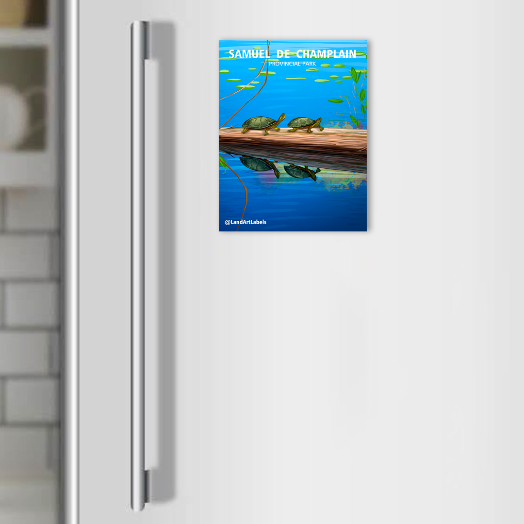 Samuel de Champlain Provincial Park, Turtles - Magnet