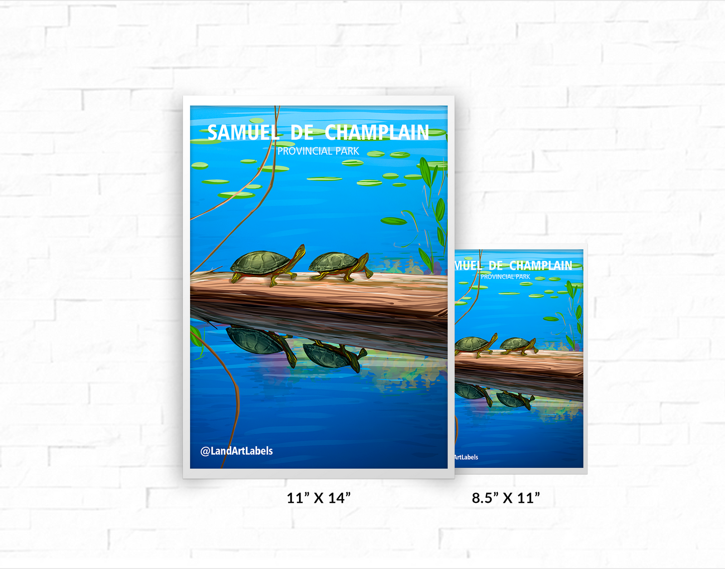 Samuel de Champlain Provincial Park, Turtles - Poster