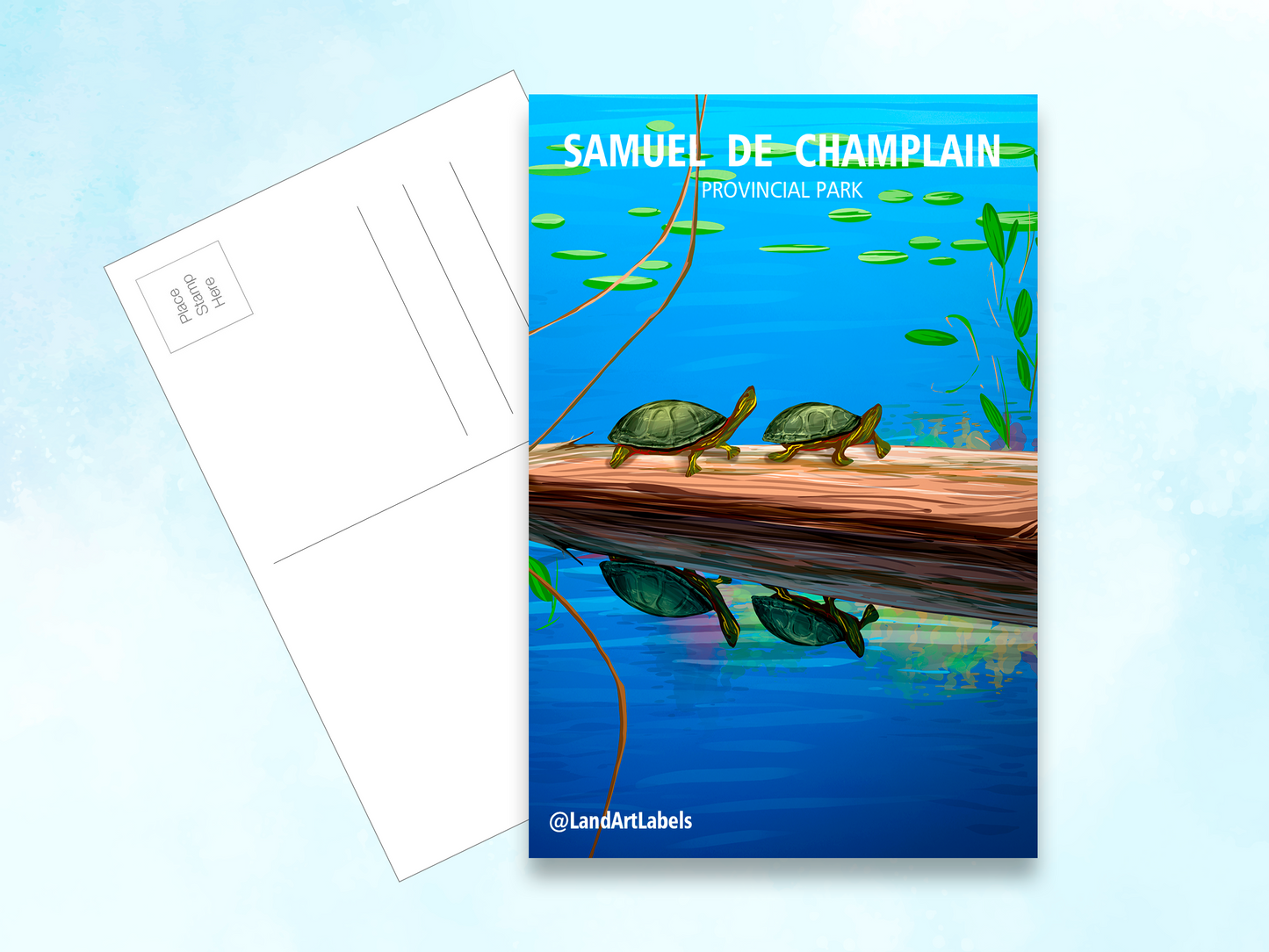 Samuel de Champlain Provincial Park, Turtles - Postcard
