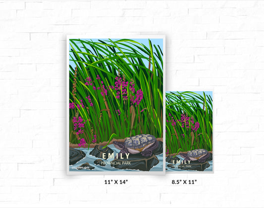Emily Provincial Park - Poster