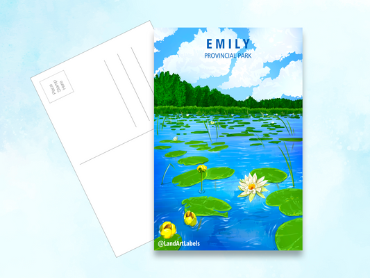 Emili Provincial Park, Water lilies - Postcard