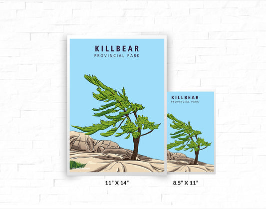 Killbear Provincial Park, Iconic Tree - Poster