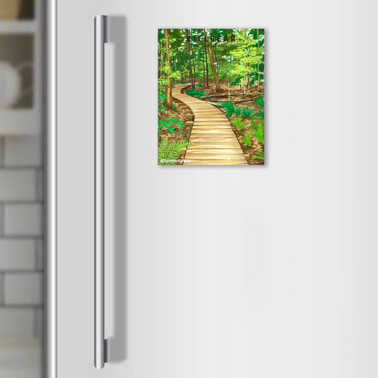 Killbear Provincial Park, Boardwalk - Magnet