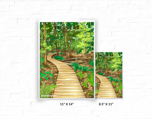 Killbear Provincial Park, Boardwalk - Poster