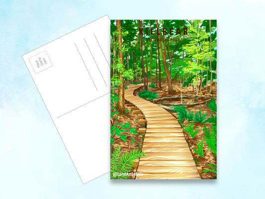 Killbear Provincial Park, Boardwalk - Postcard
