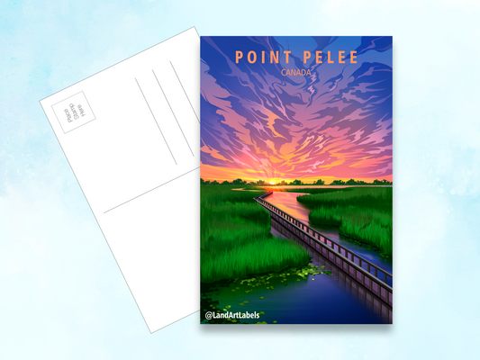 Point Pelee National Park, Boardwalk Sunrise - Postcard