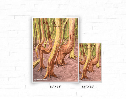 Presqu'ile Provincial Park, Trees - Poster