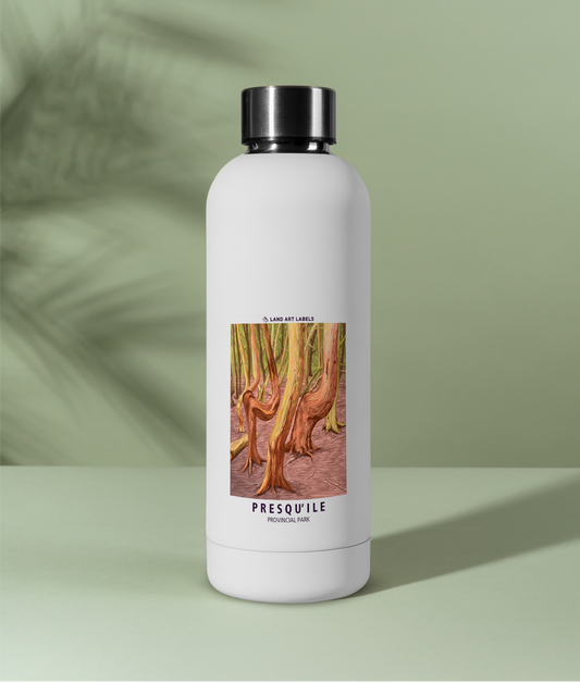 Presqu'ile Provincial Park, Trees - Card Sticker