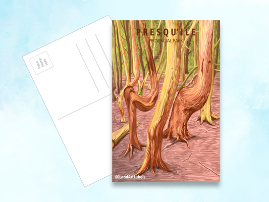 Presqu'ile Provincial Park, Trees - Postcard