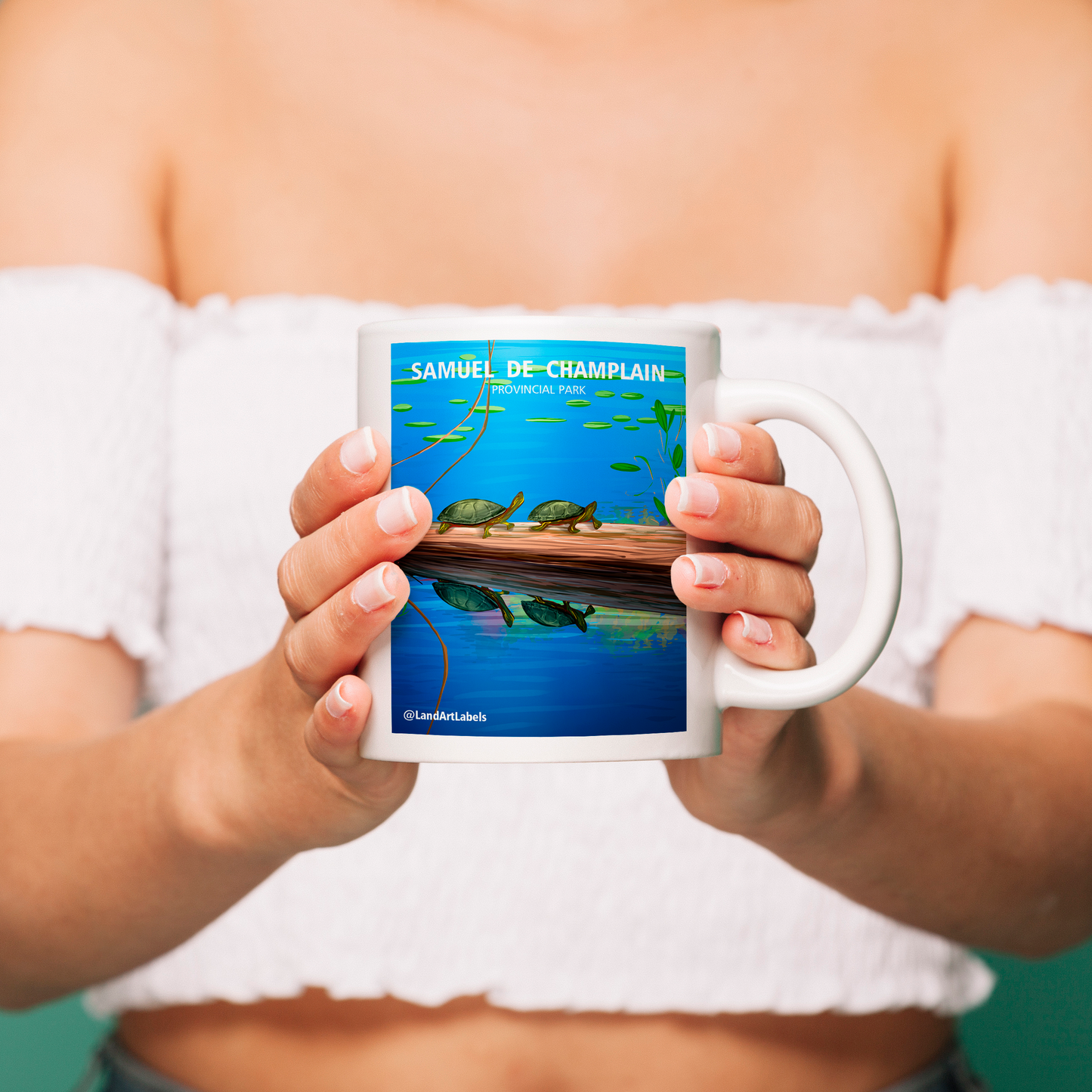 Samuel de Champlain Provincial Park, Turtles - Mug