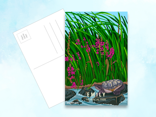 Emily Provincial Park - Postcard