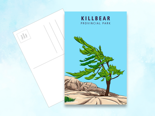 Killbear Provincial Park, Iconic Tree - Postcard