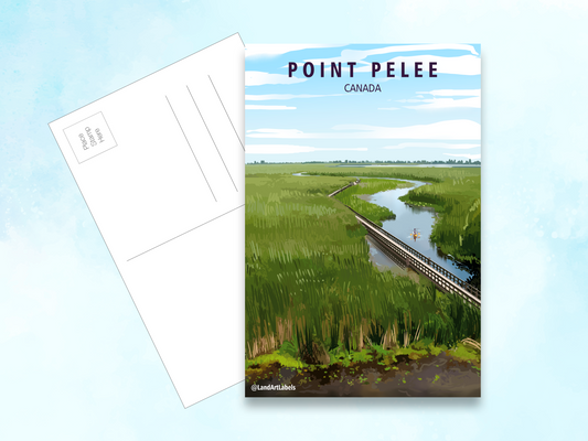 Point Pelee National Park, Boardwalk - Postcard
