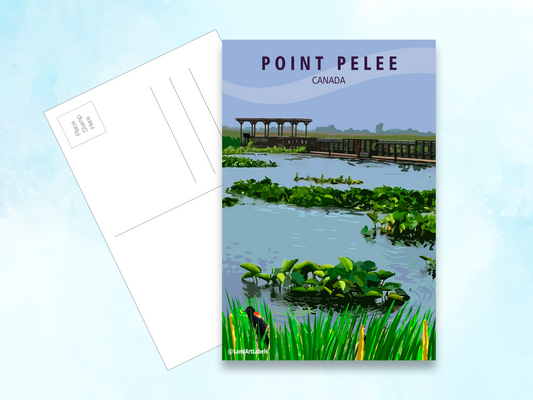 Point Pelee National Park, Boardwalk - Postcard